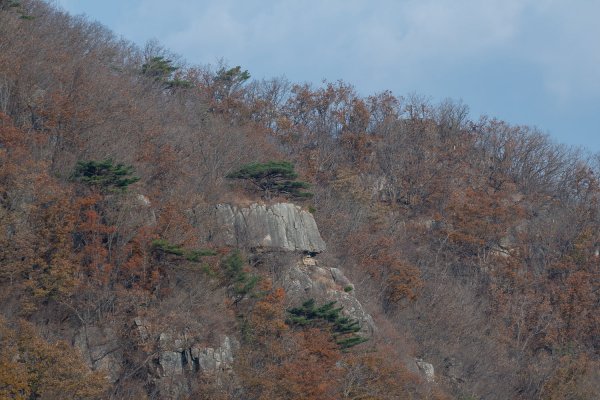 _DSC7727.jpg