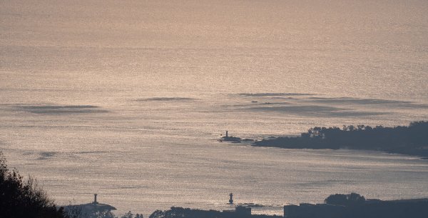 _DSC7730.jpg