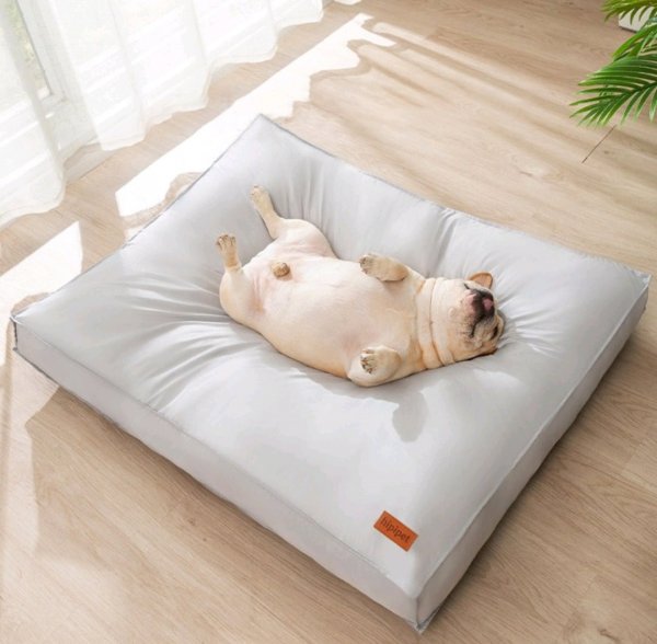 쿠팡] 강아지 매트 쿠션 방석 침대 (14,900원/무료) - 뽐뿌:뽐뿌게시판