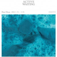 Peter Moon ʴ "Active Waiting"