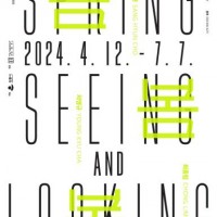  Spring, Seeing and Looking