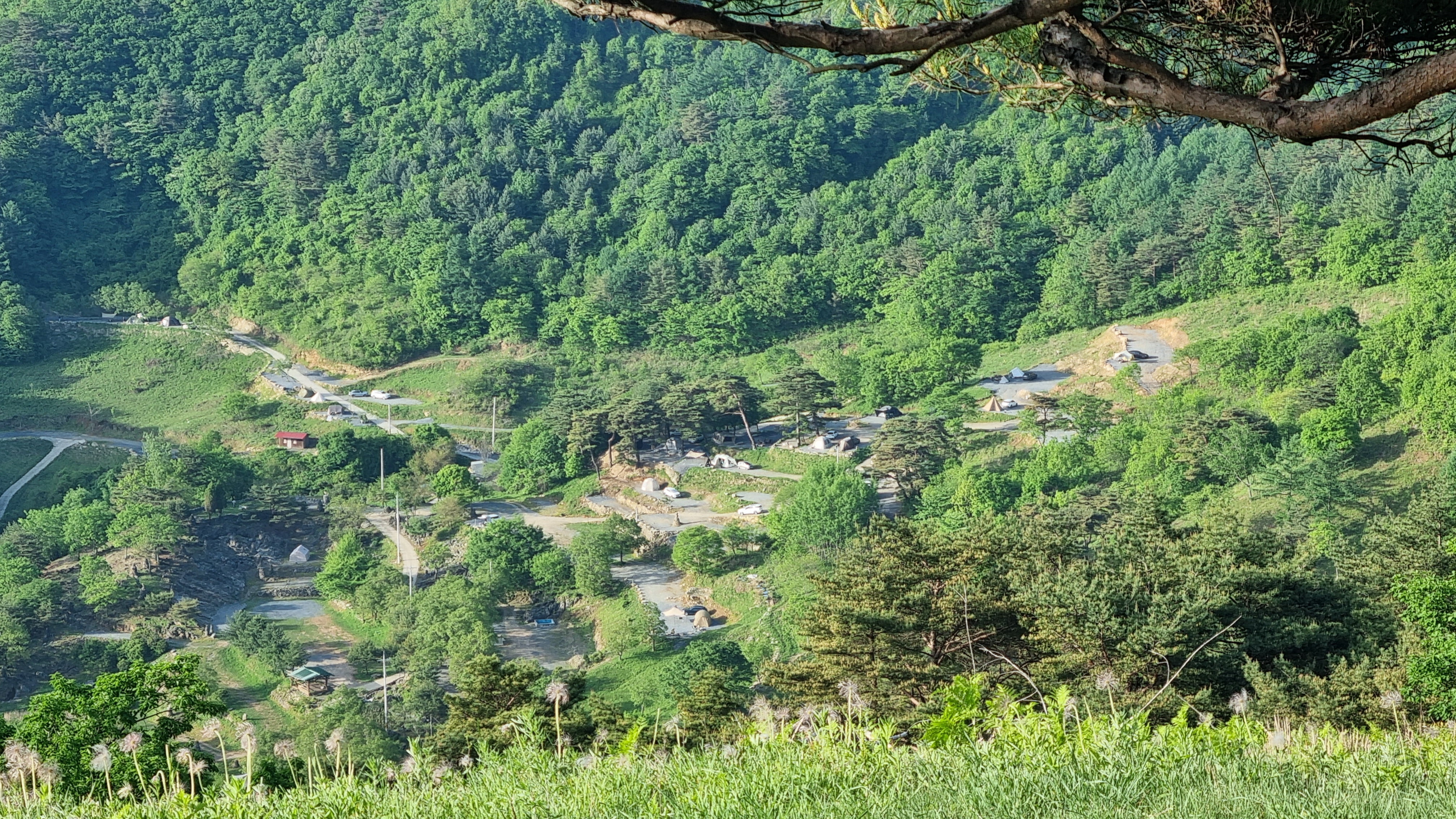 산너미목장 와봤습니다 - 뽐뿌:캠핑포럼 산너미목장 와봤습니다
