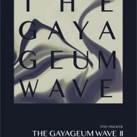  ߱ ȸ, THE GAYAGEUM WAVE 