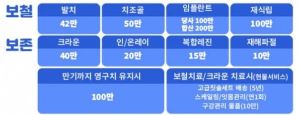 치아4.png