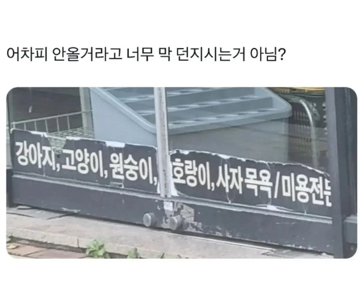 사장님 진짜 이게 맞아요? - 뽐뿌:유머/감동 사장님 진짜 이게 맞아요?