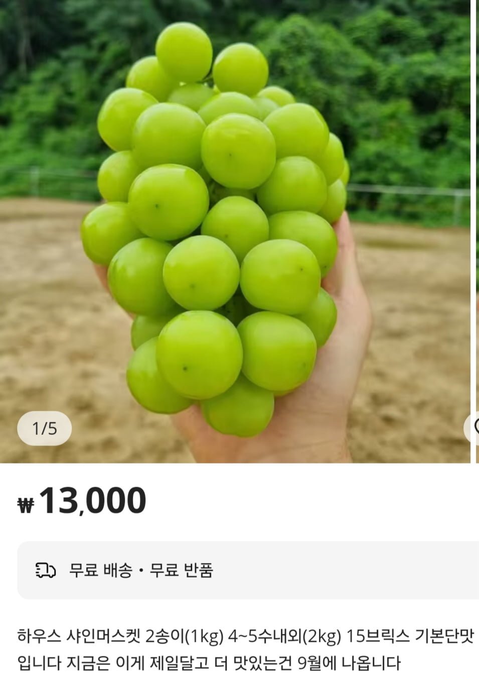 하우스 샤인머스켓 2송이(1kg) 4~5수내외(2kg) 15브릭스(13,000/무료배송) - 뽐뿌: 하우스 샤인머스켓 2송이(1kg) 4~5수내외(2kg)... 