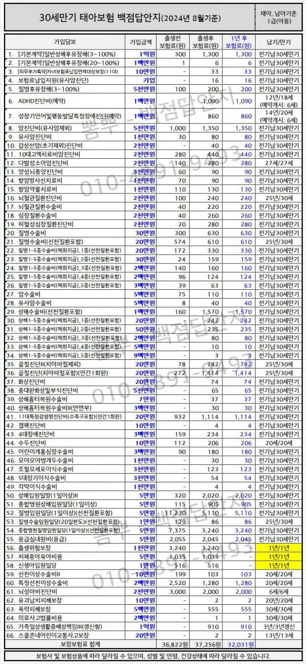 A플랜 30세.png