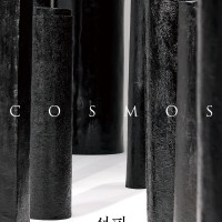 COSMOS   Ư