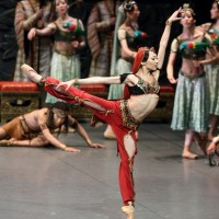 ߷ &lt; پߵ La Bayadere&gt;