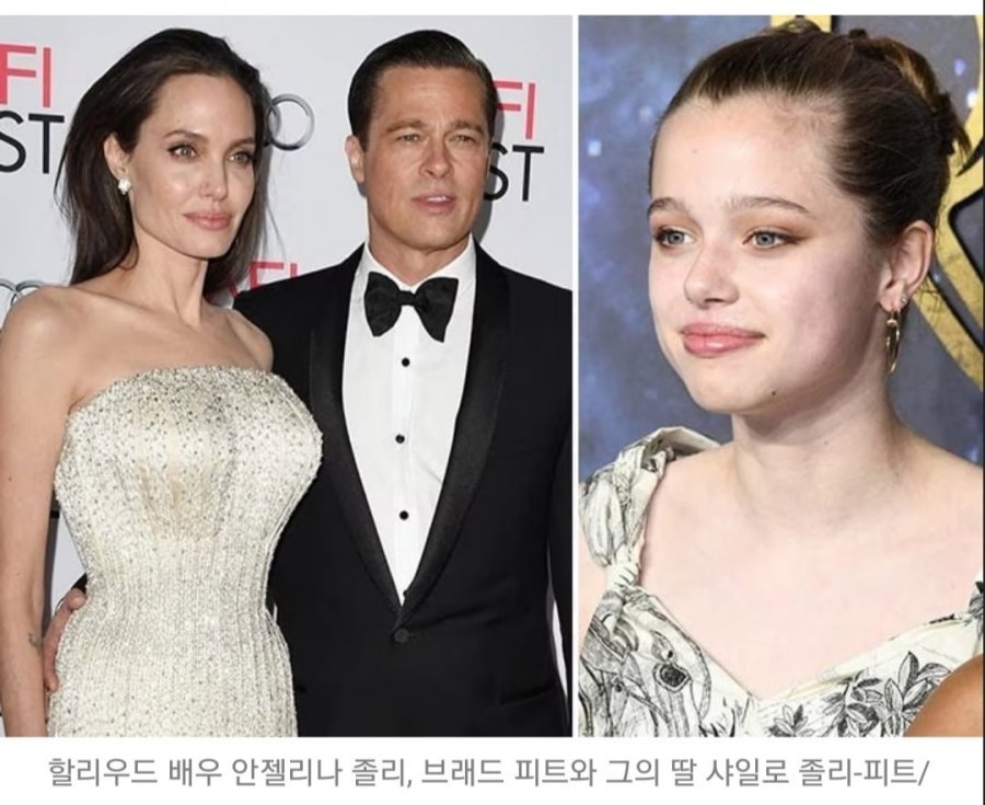 브래드 피트와 안젤리나 졸리의 유전자대결 ㅋ - 뽐뿌:자유게시판 브래드 피트와 안젤리나 졸리의 유전자대결 ㅋ