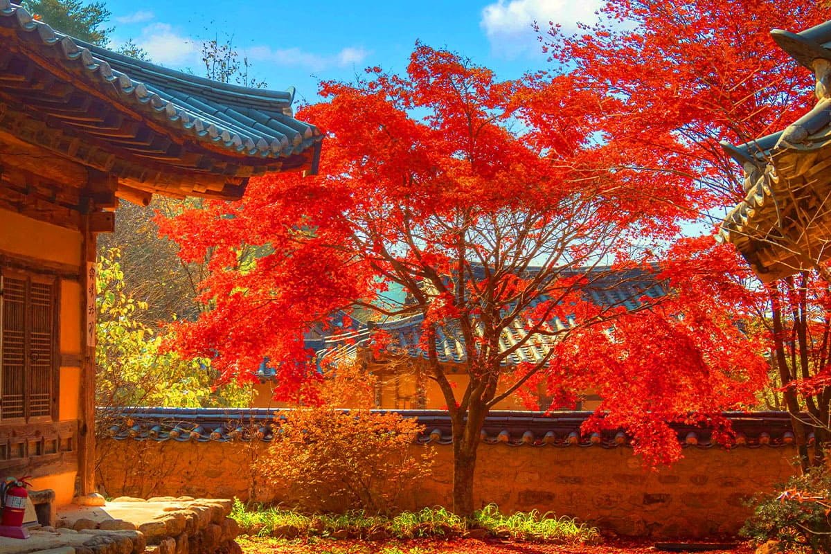 한국관광100선에 선정된 명소들.jpg - 뽐뿌:여행포럼  한국관광100선에 선정된 명소들.jpg
