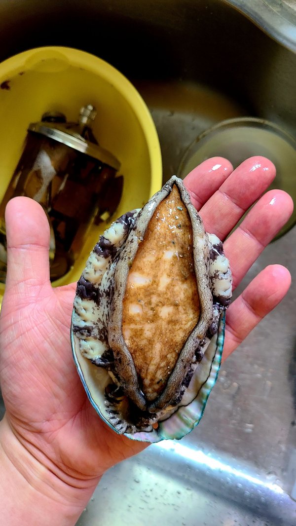 seafood 스페샬