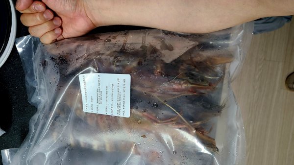 seafood 스페샬 2