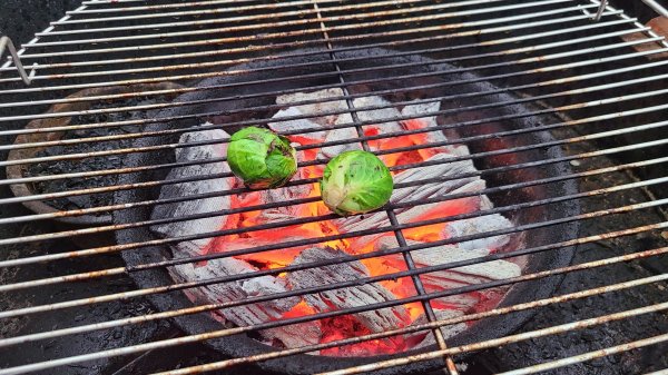 bbq 스페샬
