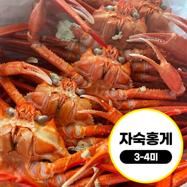 [11번가] (믿고 먹는 수율 보장제) 깊은바다 속초 수율보장 자숙 홍게 - 뽐뿌:MD뽐뿌 [11번가] (믿고 먹는 수율 보장제) 깊은바다 속초 수율보장... 