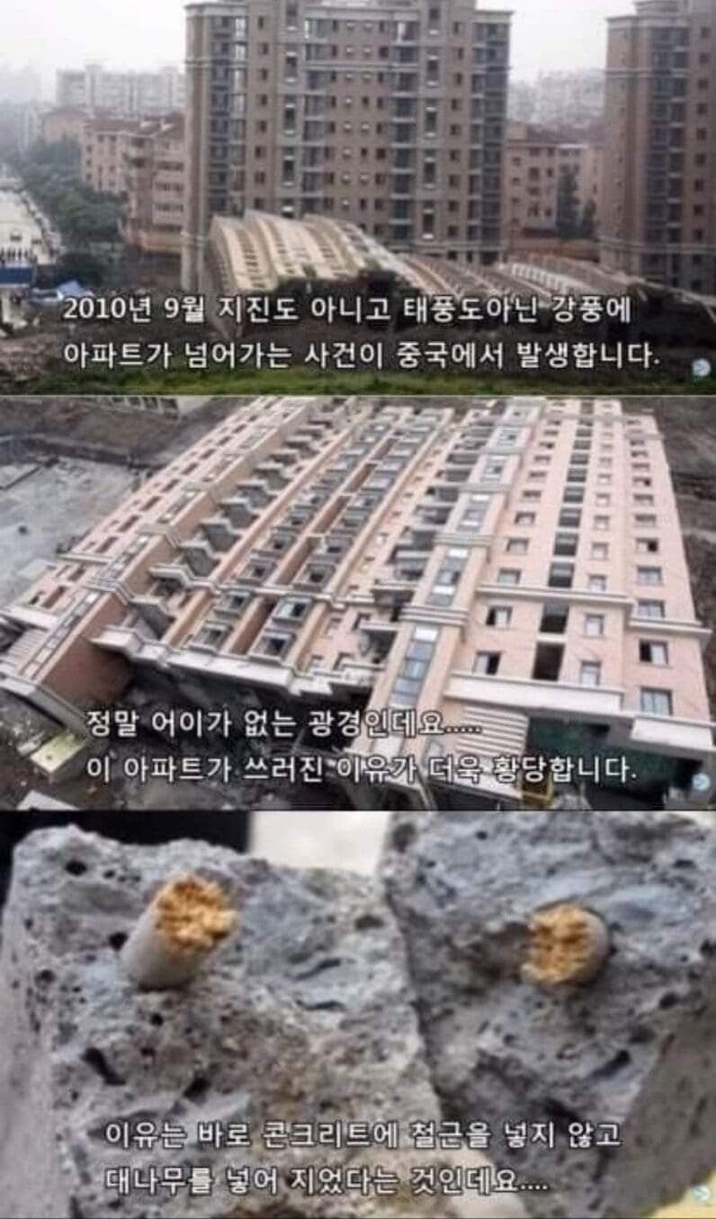 대나무로 지은 중국의 아파트 - 뽐뿌:유머/감동 대나무로 지은 중국의 아파트
