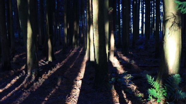 눈쌓인 풍경을 한번쯤 보고 싶은 오름 정상보다는 여정이 아름다운 곳 부소오름