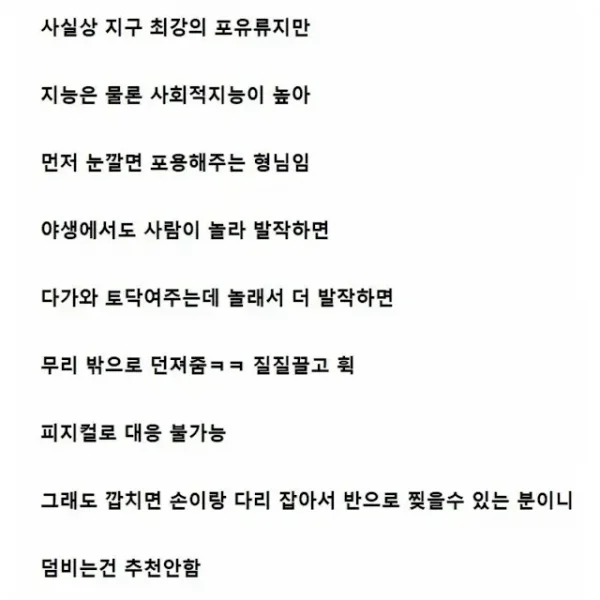 1950dbe950a592b4f.webp