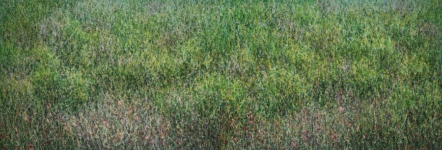 Line-piece 2519, 2520, () 89.4x130.3cm, Oil on panel, 2025