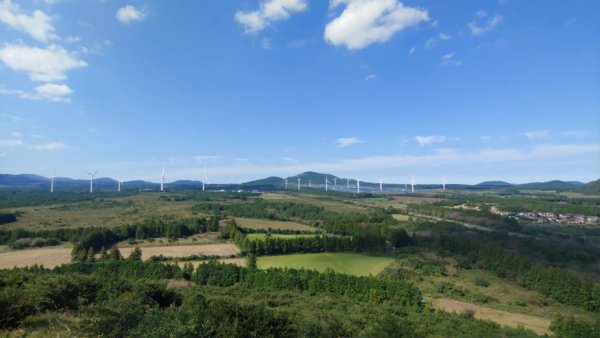 제주에 봄이오면 녹산로 벚꽃 유채꽃길을 한눈에 담을 수 있는 작지만 꽉찬 오름 번널오름
