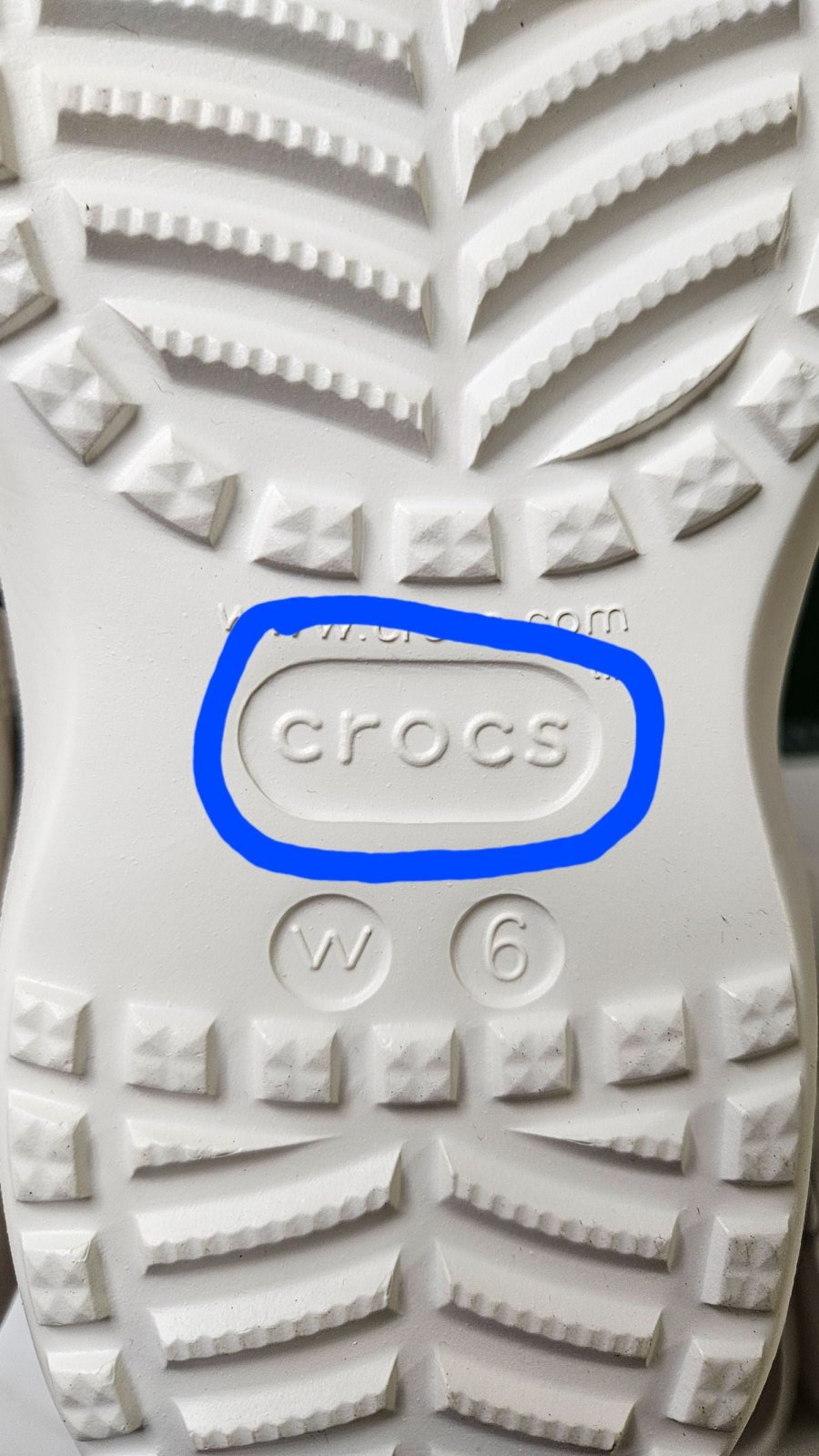 20250225110826_DH4nqCCI6k.jpg