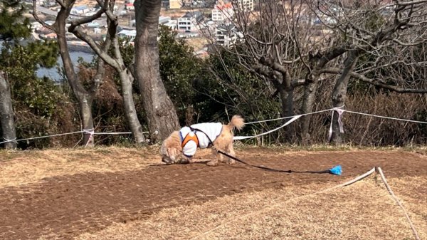 제주시민들의 뒷동산 사라봉과 별도봉 중 오늘은 별도봉