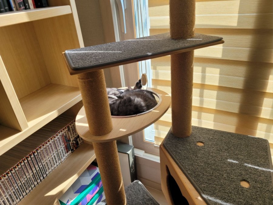 츮 