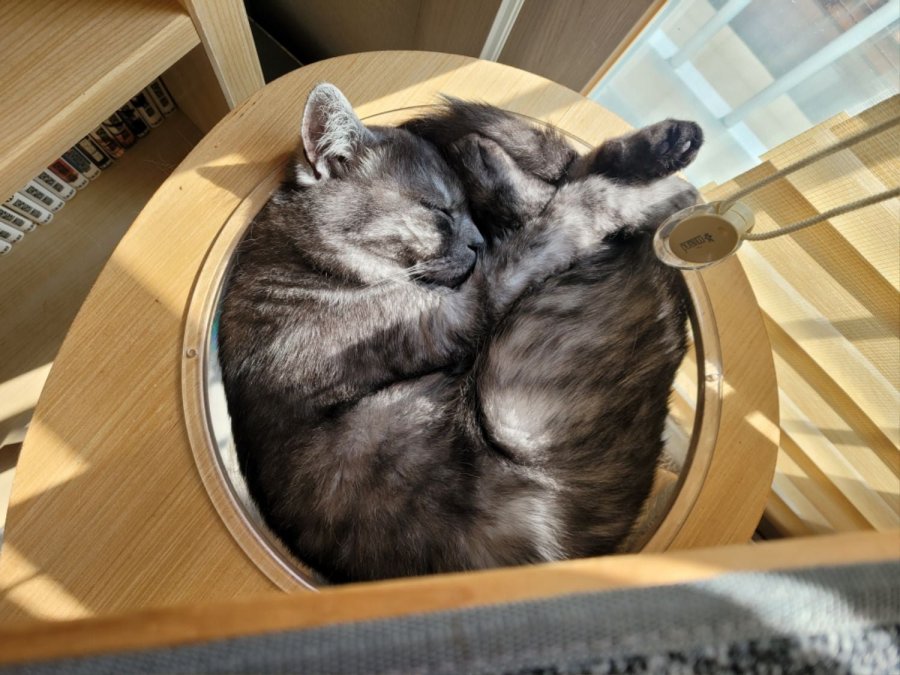 츮 