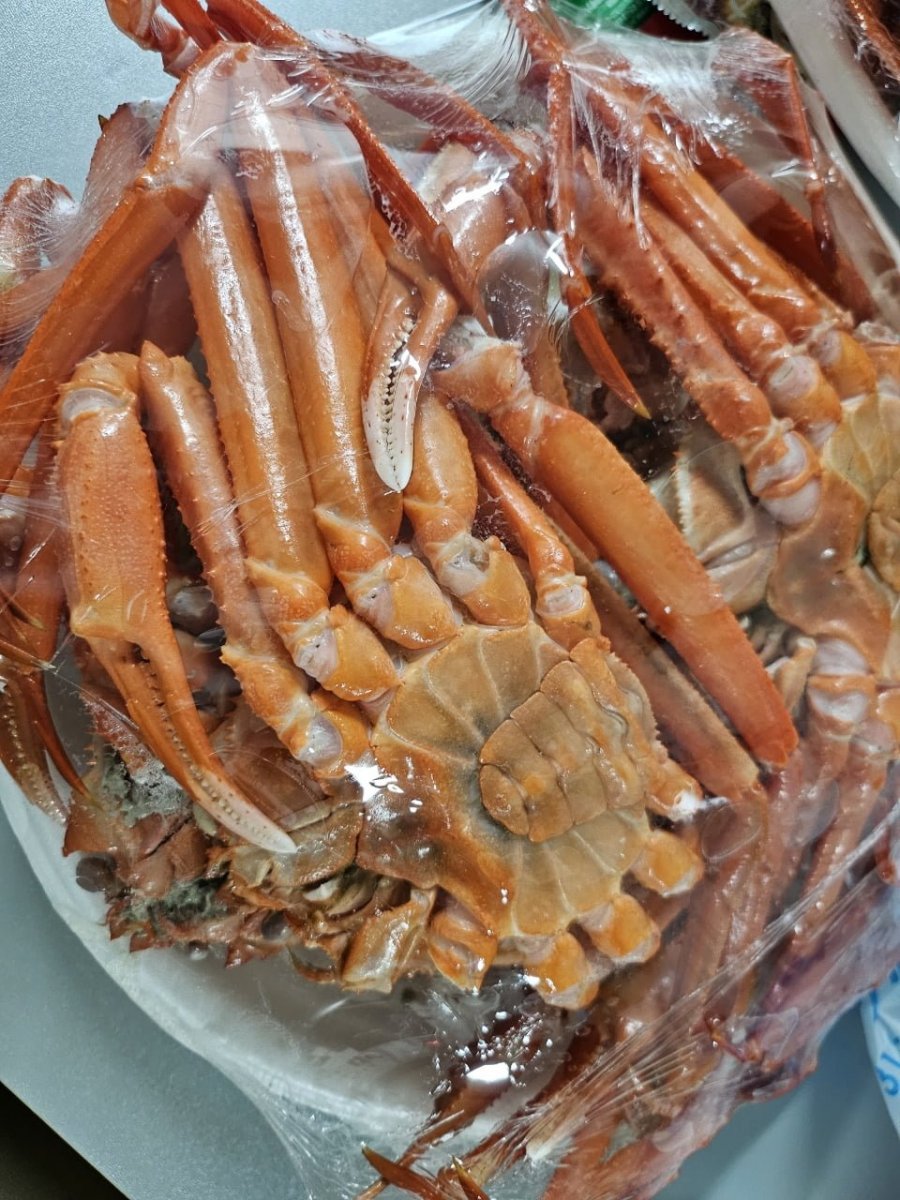 ȫ