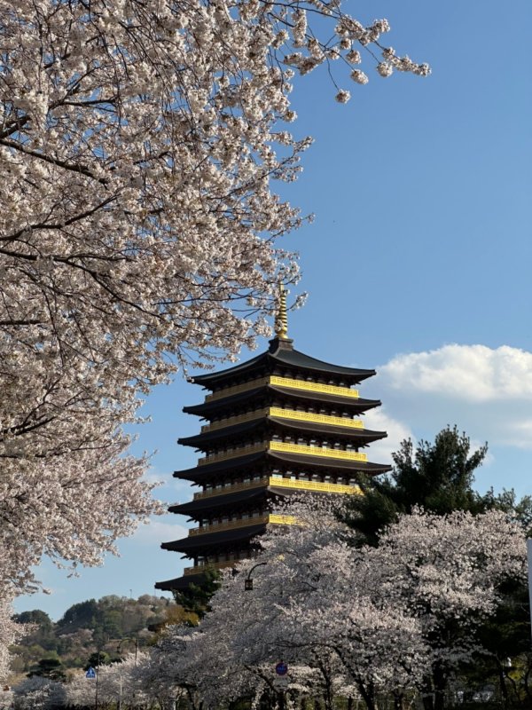 며칠전 경주