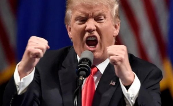 8233819470_486616_0c546c1f6159f0c4722a4909c885e9b6.jpg