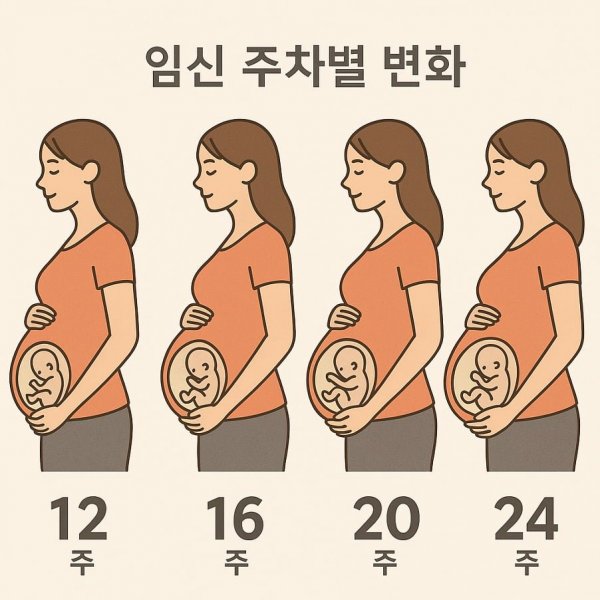 그림2.png
