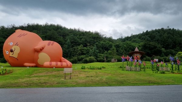 국립백두대간 수목원호랑이 태범,무궁