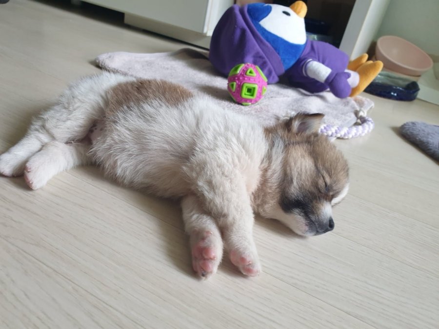 츮  ù ݷ