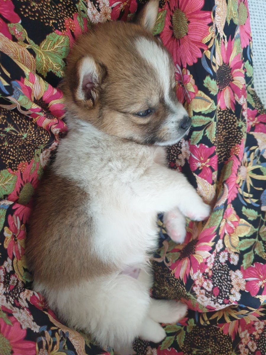 츮  ù ݷ