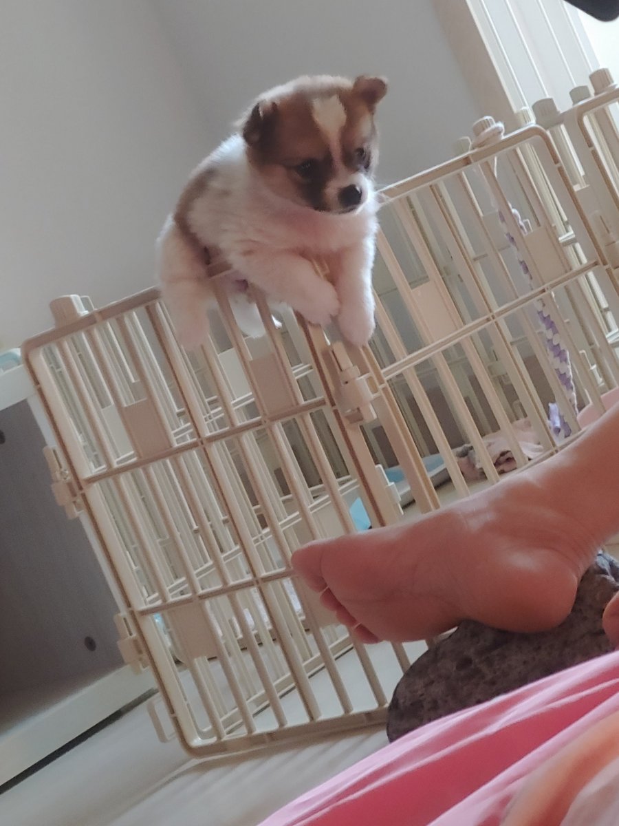 츮  ù ݷ