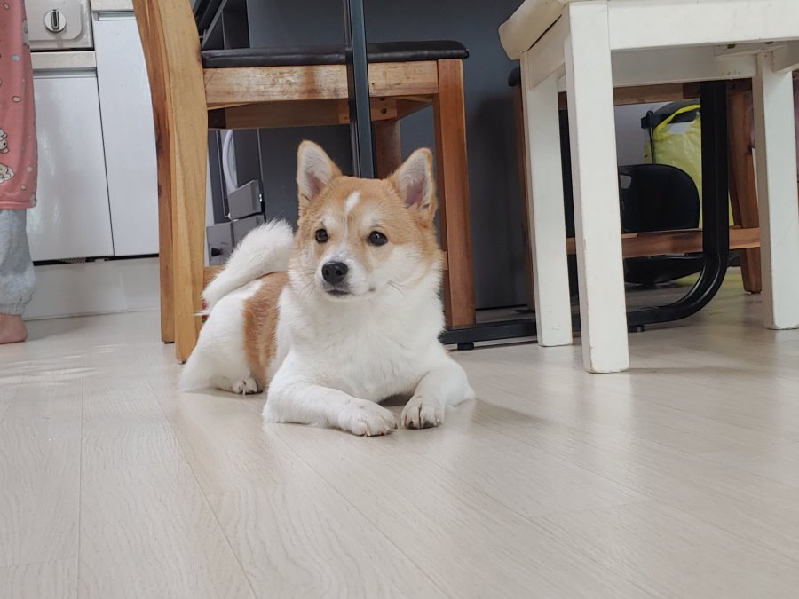 츮  ù ݷ