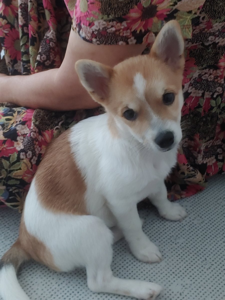 츮  ù ݷ