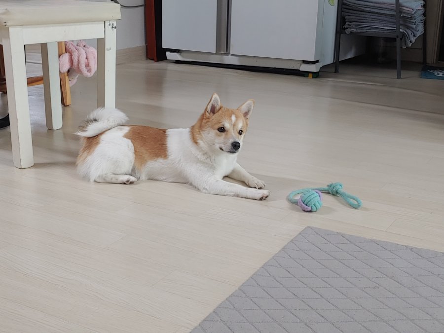 츮  ù ݷ
