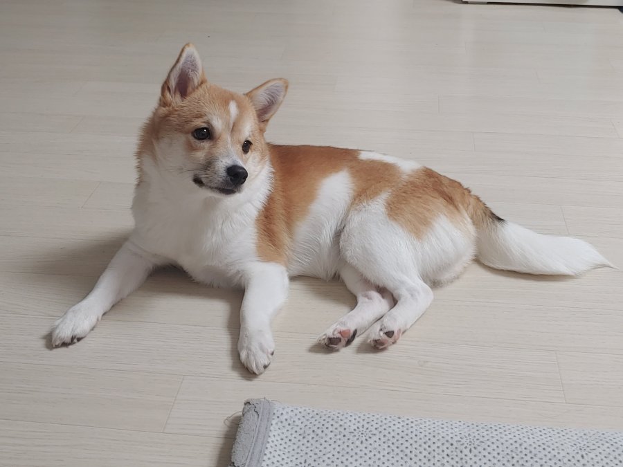 츮  ù ݷ