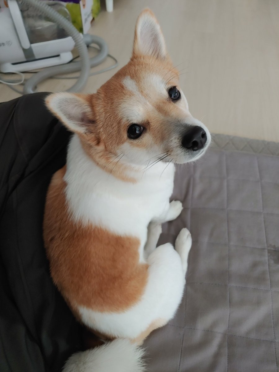 츮  ù ݷ
