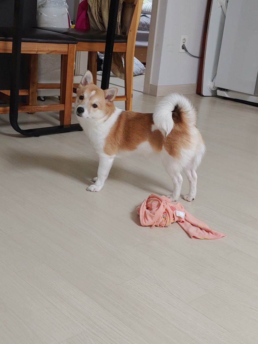 츮  ù ݷ