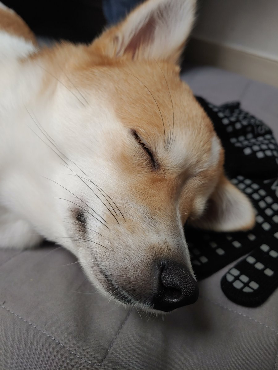 츮  ù ݷ