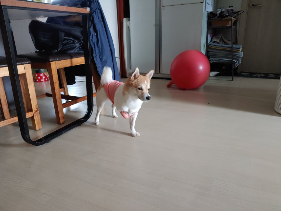 츮  ù ݷ