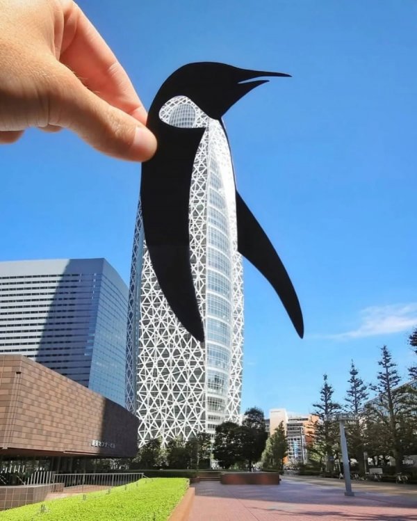 7.png