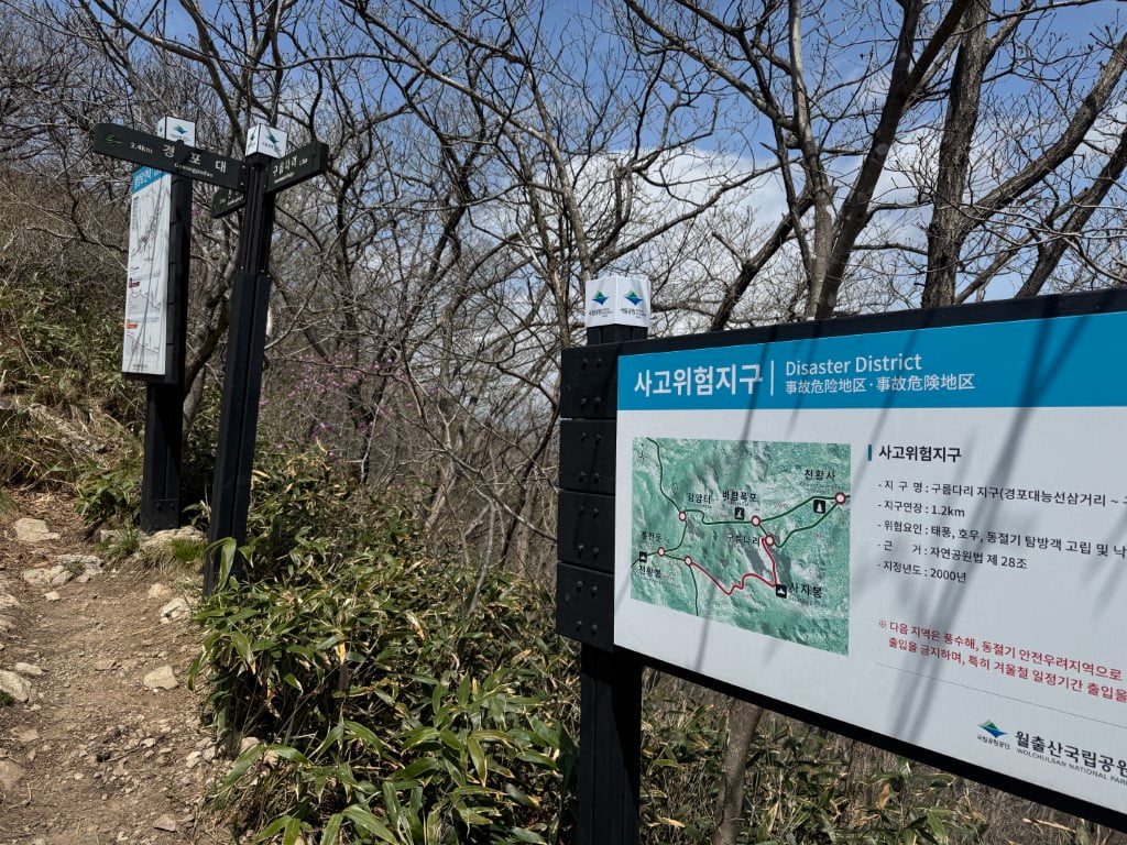 20250420191114_Amo6zLyWQQ.jpg