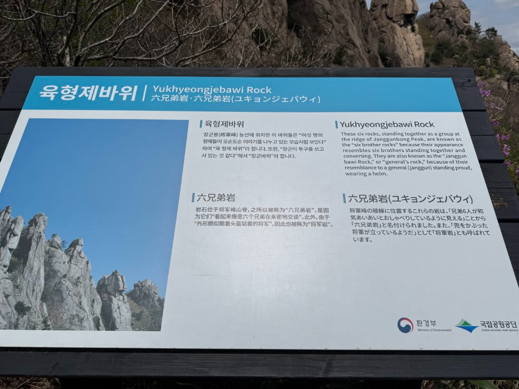 20250420191123_SizXA3Sgtf.jpg
