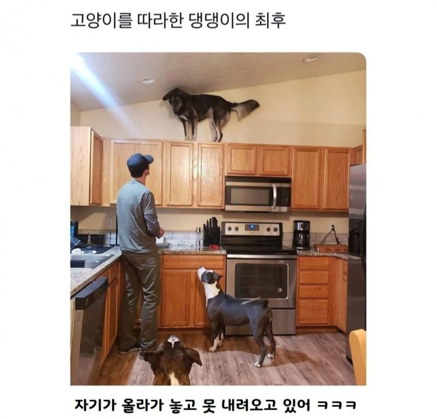 20250422161624_gkyMMnAfSQ.jpg