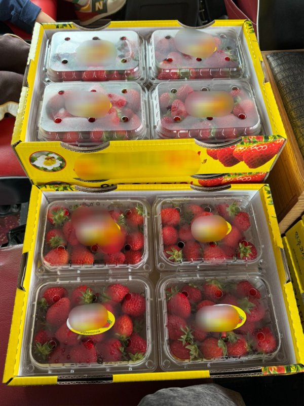 딸기