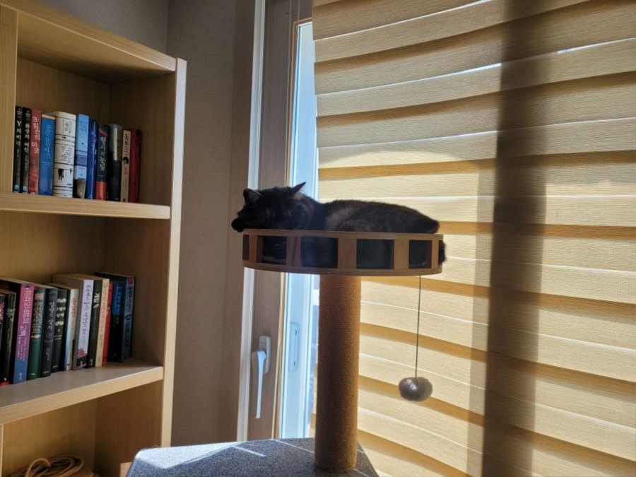 츮 